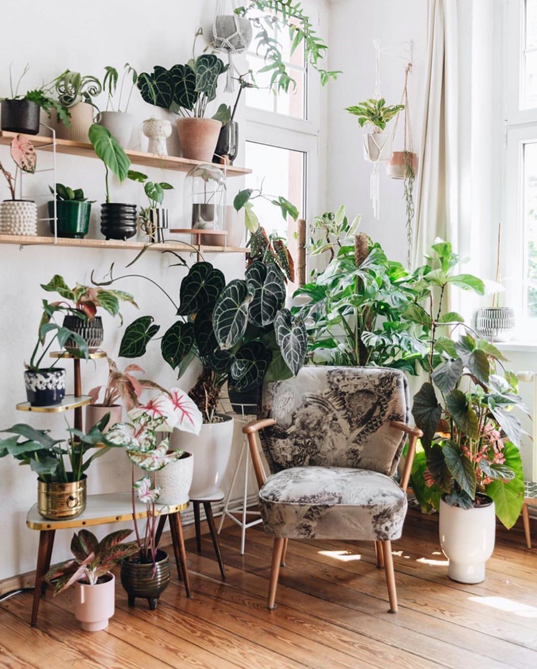 Perfect plant corner to hang out Plants Spark Joy