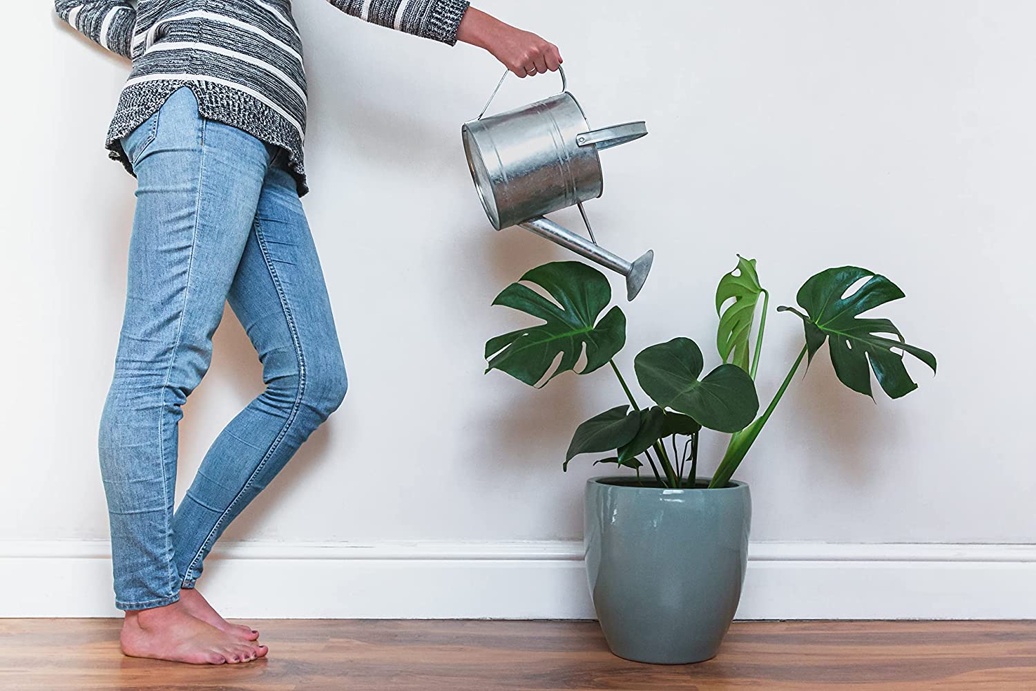 woman using a watering can to water the monstera plant
