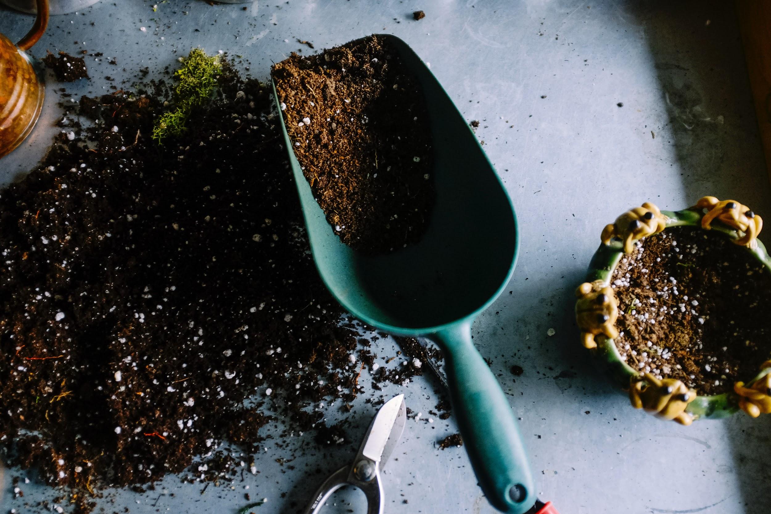 hand shovel with soil for repotting houseplants