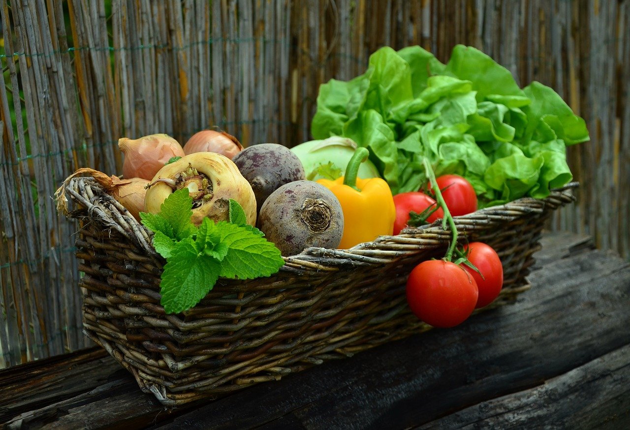 vegetable basket with tomatoes, mushrooms, veggies