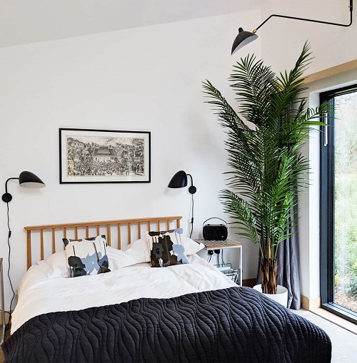 tall areca palm plant in the bedroom next to bed and window
