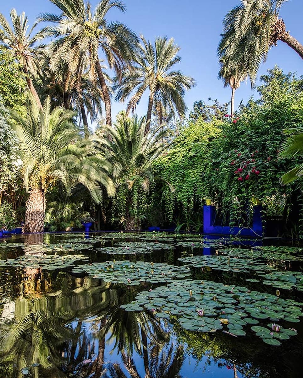 a pond view of the Jardin Majorelle Marrakech