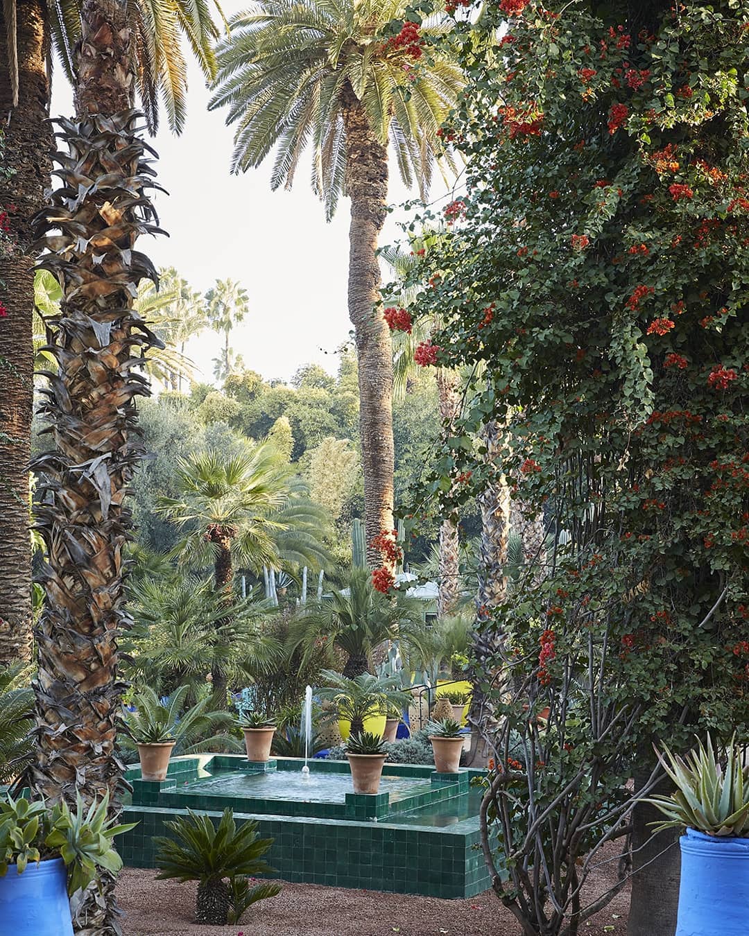 View into the garden of Jardin Majorelle with water fountain