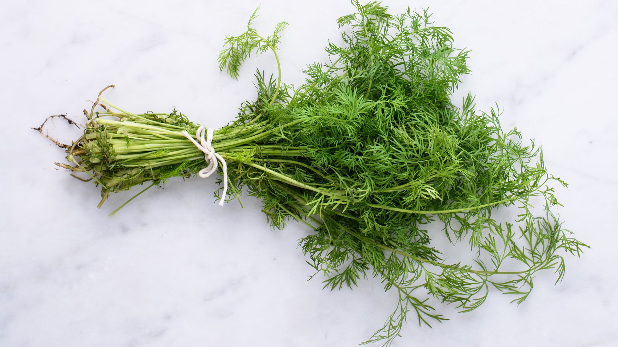 dill leaves