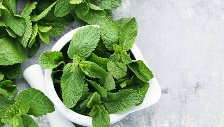 mint leaves