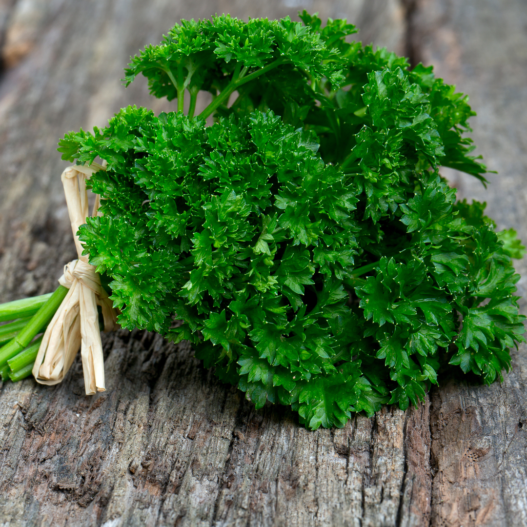 curly parsley leaves