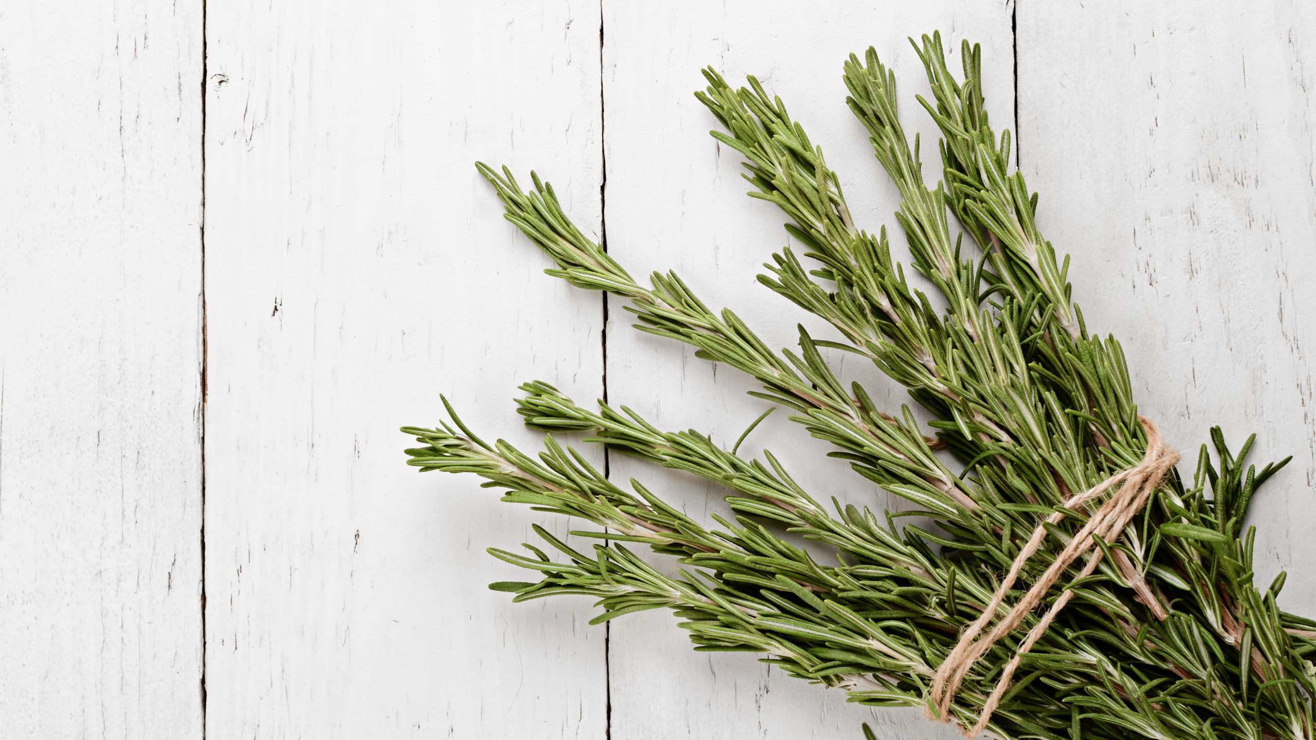 rosemary dry leaves