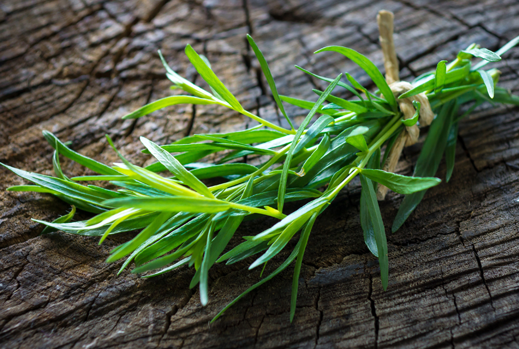 tarragon leaves