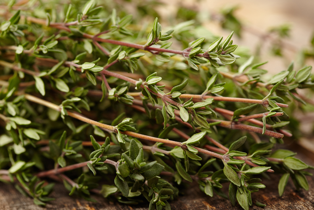 thyme leaves