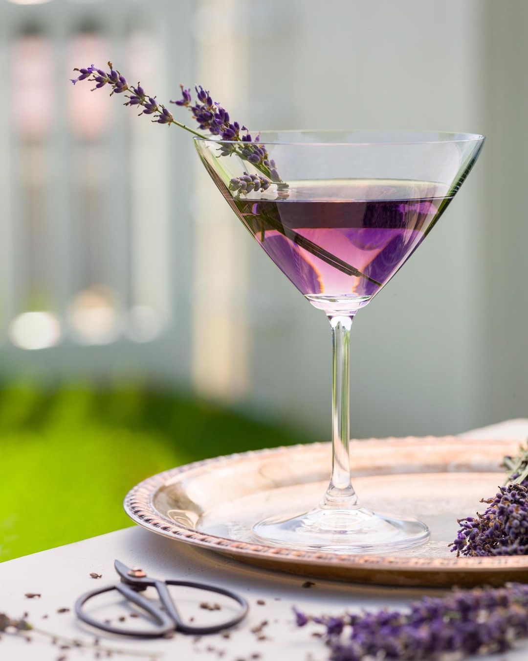 lavender tonic
