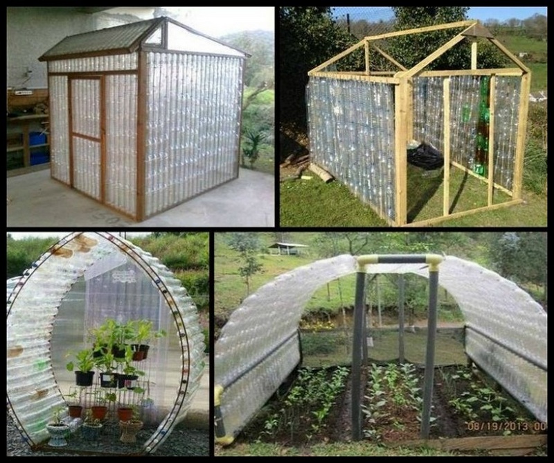 multiple diy greenhouse with plastic bottles