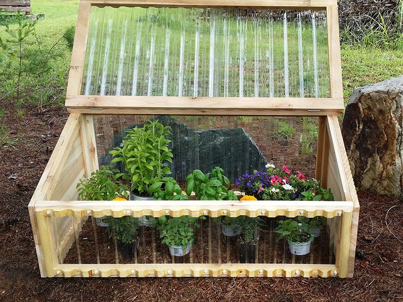 cold frame diy greenhouse