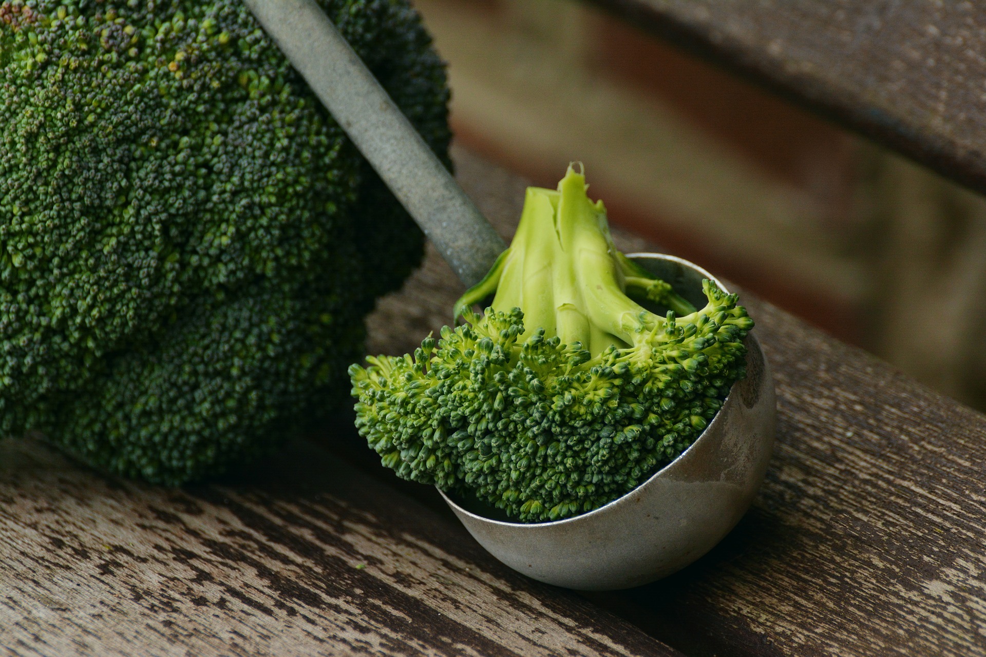 broccoli in a spoon