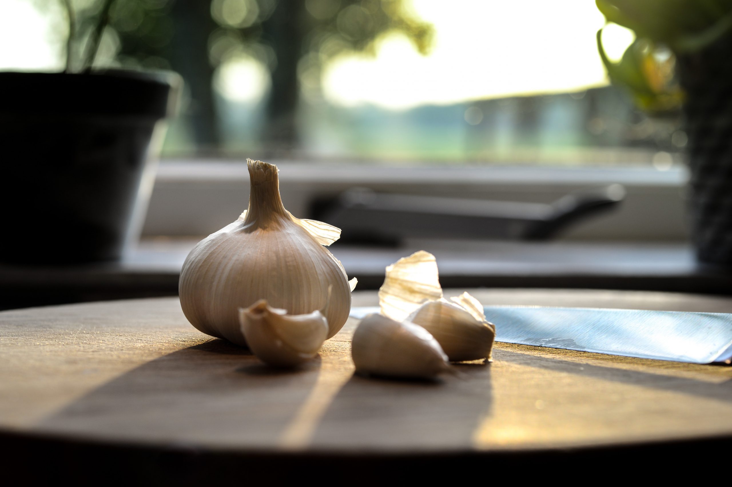 close up picture of garlic with sunset
