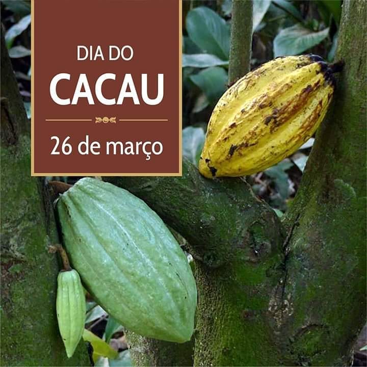 Cacao jardim botanico rio de janeiro
