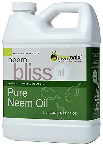 organic neem bliss pure neem oil