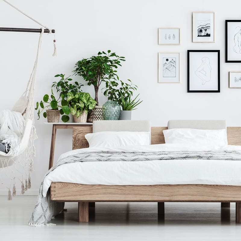 chic bedroom with plants