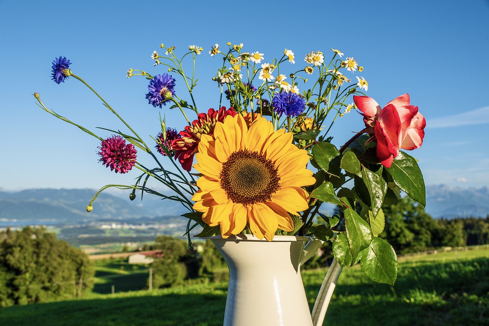 arrangement of sunflowers in a vase