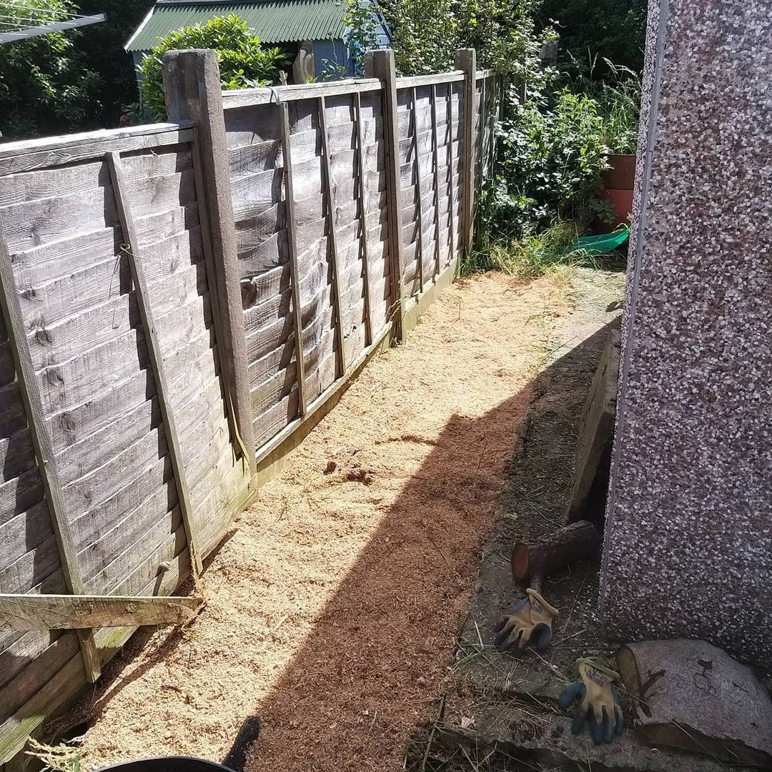 sawdust on side yard next to fence
