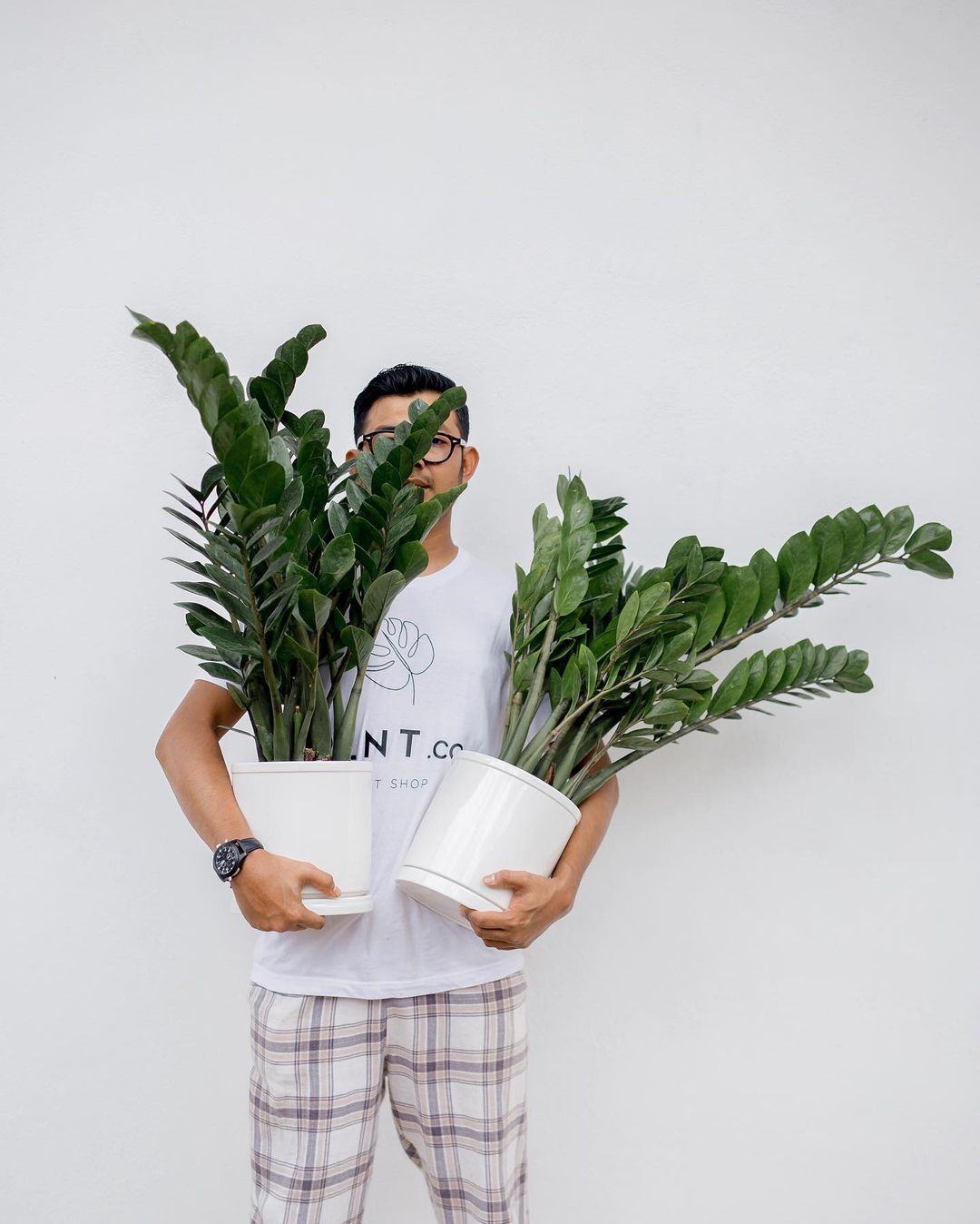 aeries sign man holding two zz plants