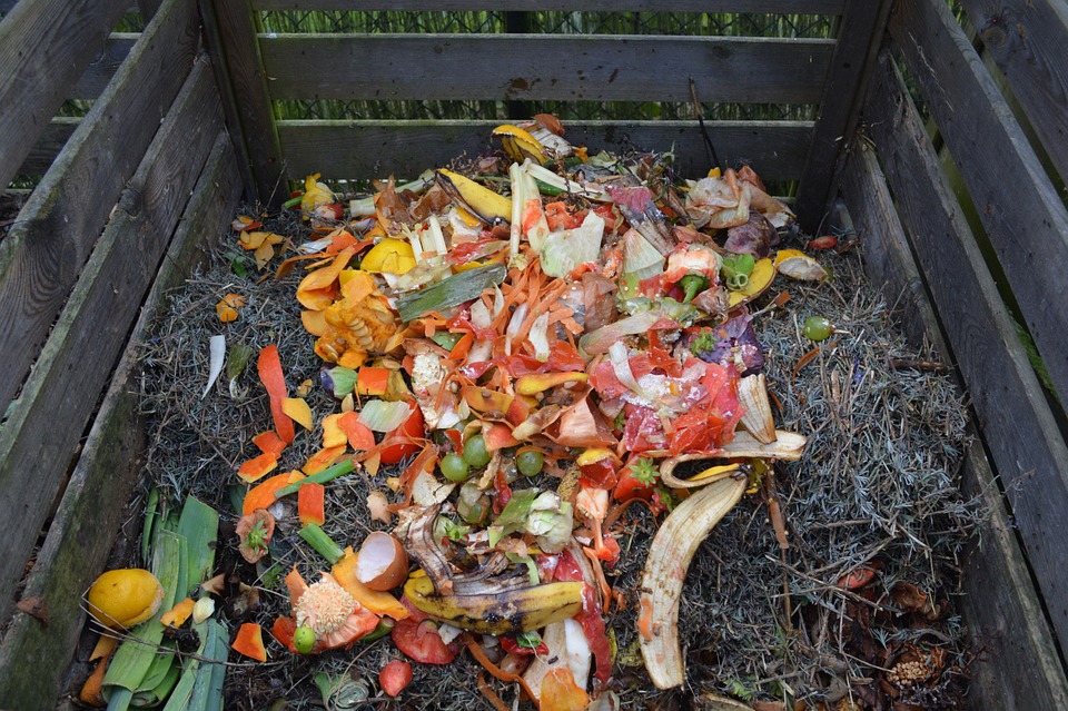 green waste left over vegetables in chamber for composting