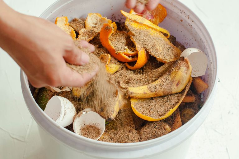 composting kitchen scraps in a plastic container