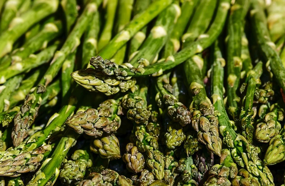 close up of asparagus