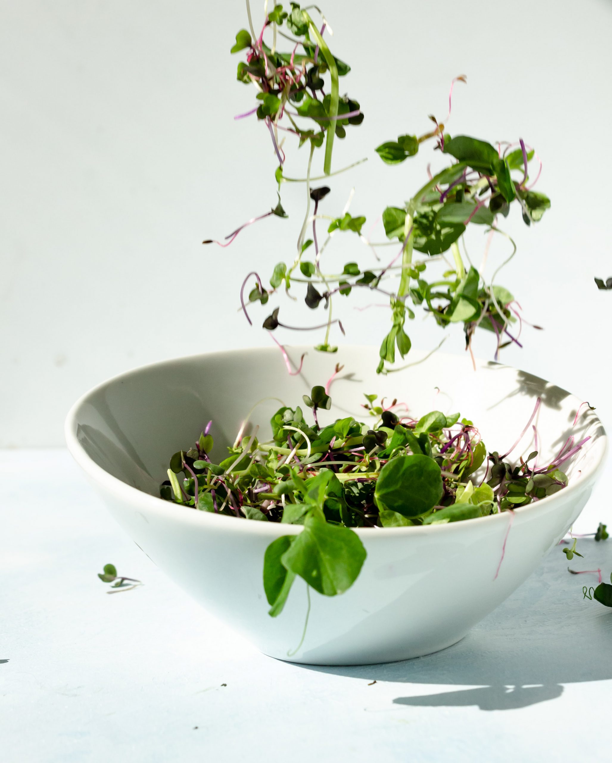 microgreens tossed in a white bowl