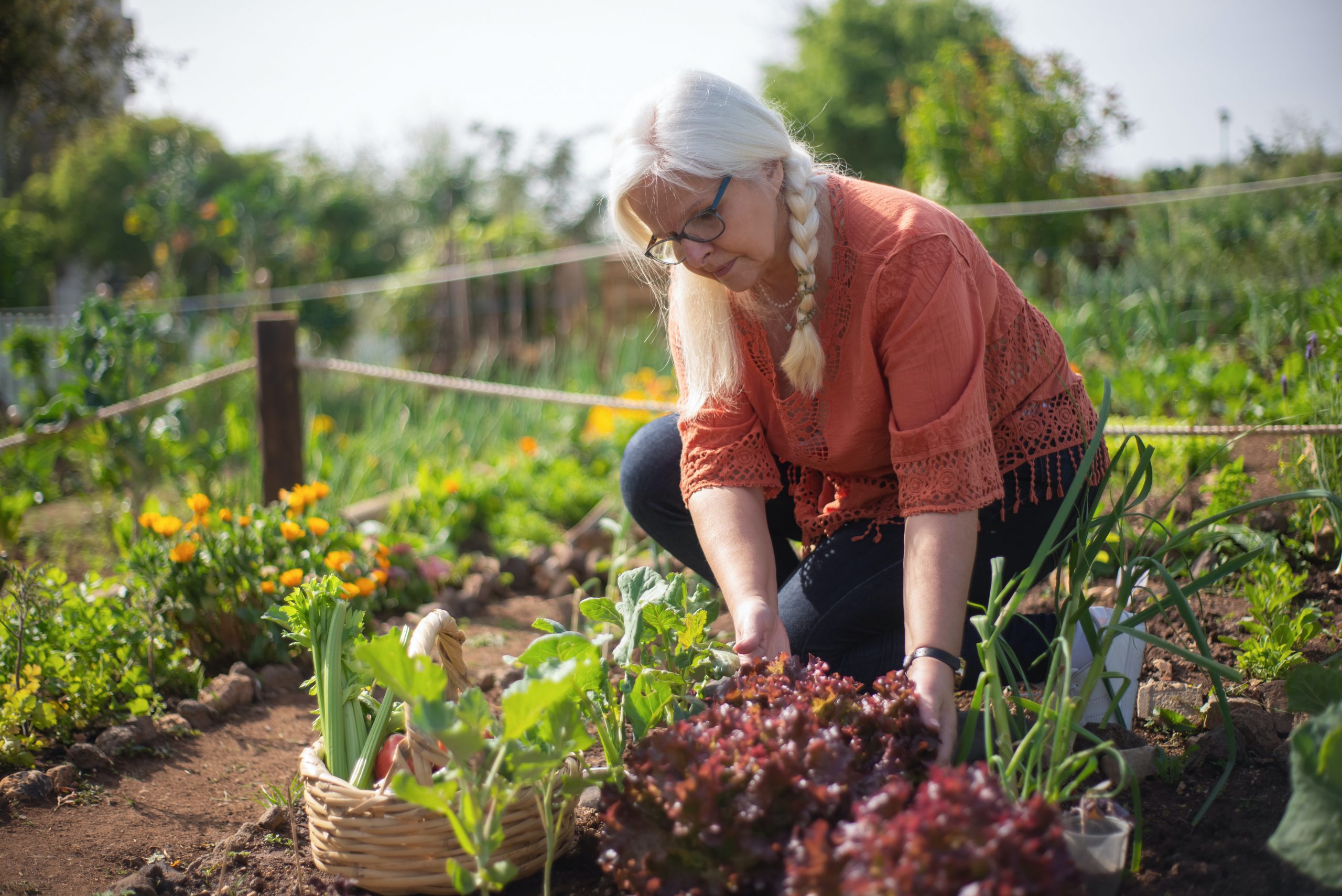 woman in a vegetable garden
