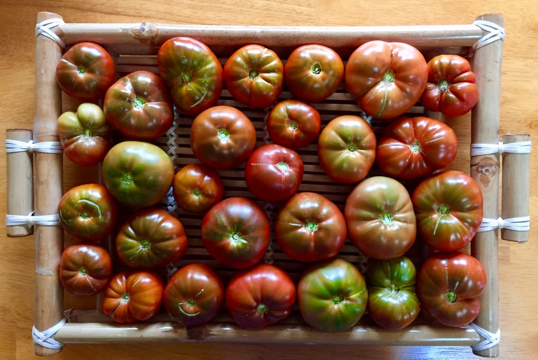 aerial view of different varieties of tomatoes