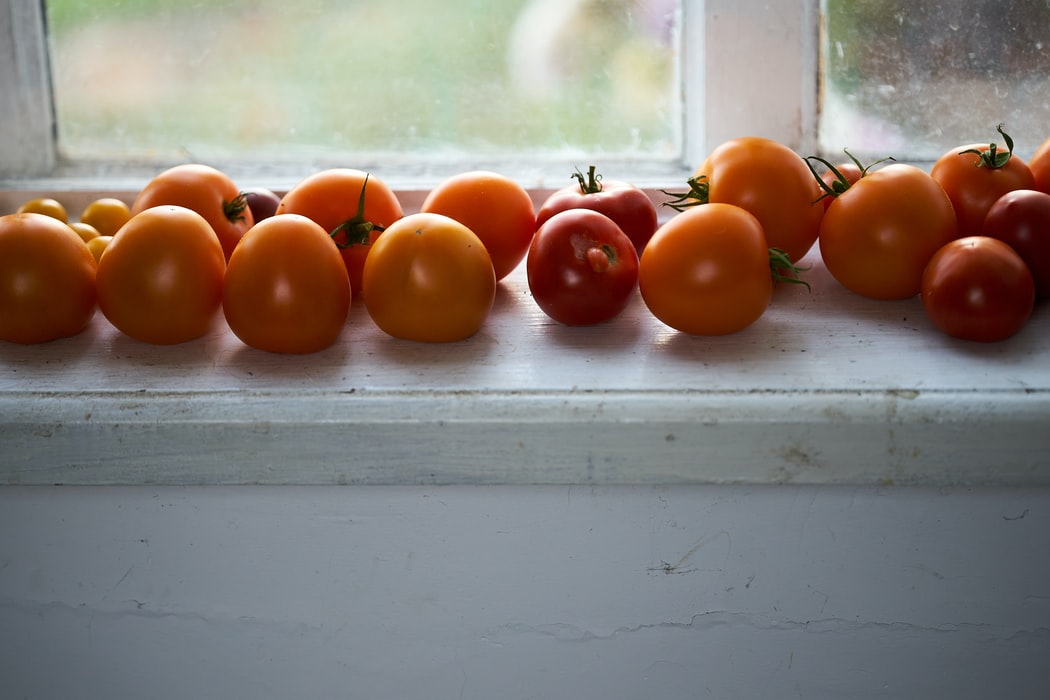 ripen green tomatoes now red tomatoes on window sill