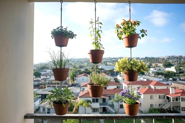 terracotta pots hanging in balcony overlooking city