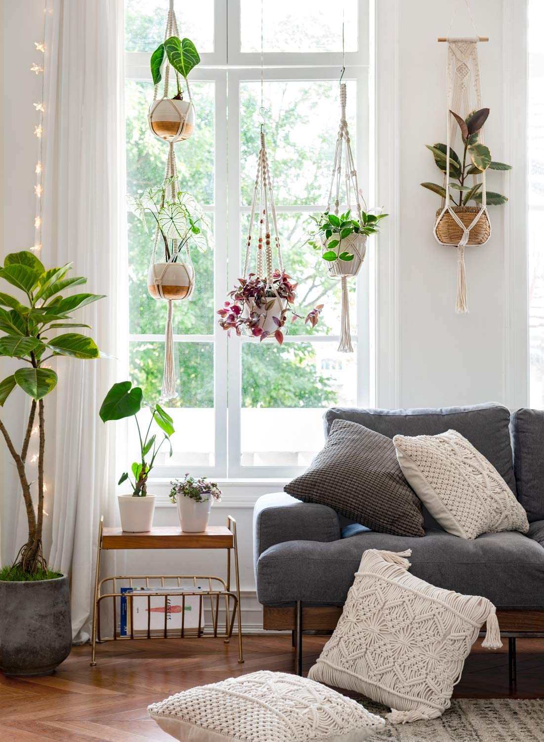 living room sill with hanging planters
