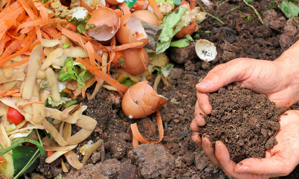 green waste compost vegetables with hands and dirt