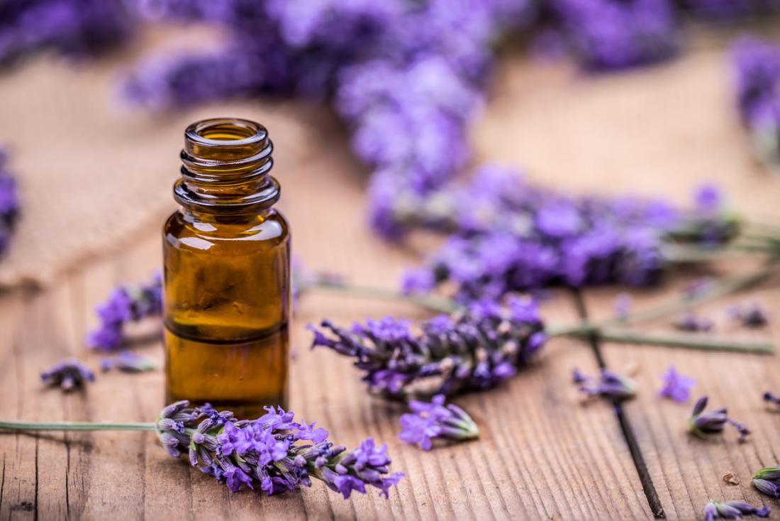 Lavender medicinal plants