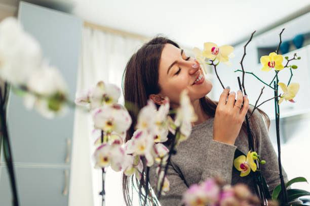 Woman smelling yellow and white orchids in the kitchen